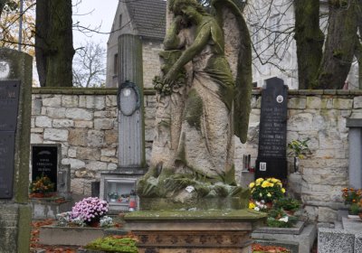 Domoušice, Omnium, 2020