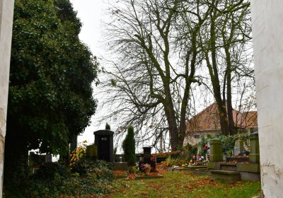 Domoušice, Omnium, 2020