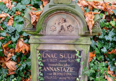 Domoušice, Omnium, 2020