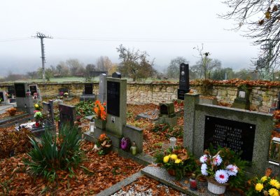 Domoušice, Omnium, 2020