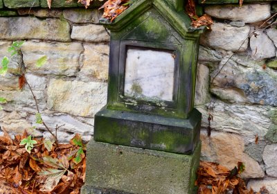 Domoušice, Omnium, 2020