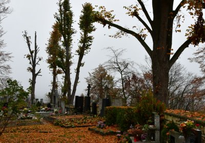 Domoušice, Omnium, 2020