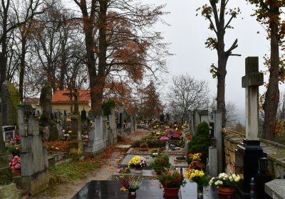 Domoušice, Omnium, 2020