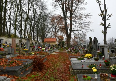 Domoušice, Omnium, 2020