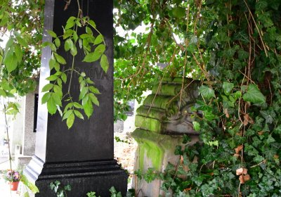 Domoušice, Omnium, 2020