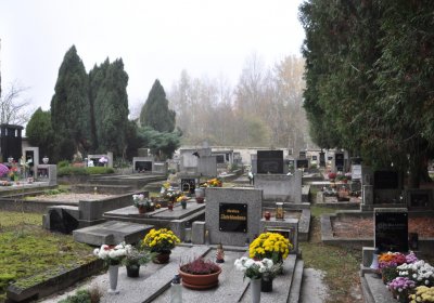 Solopysky, Omnium, 2020