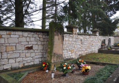 Solopysky, Omnium, 2020