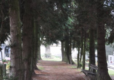 Solopysky, Omnium, 2020