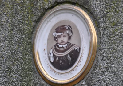 Solopysky, Omnium, 2020