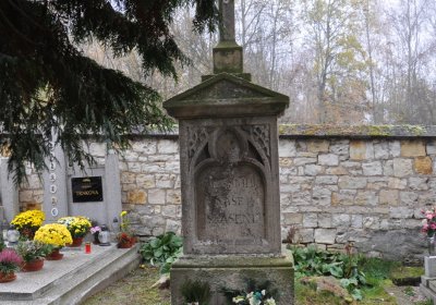 Solopysky, Omnium, 2020