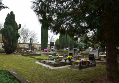 Solopysky, Omnium, 2020