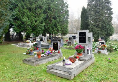 Solopysky, Omnium, 2020