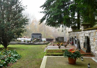 Solopysky, Omnium, 2020