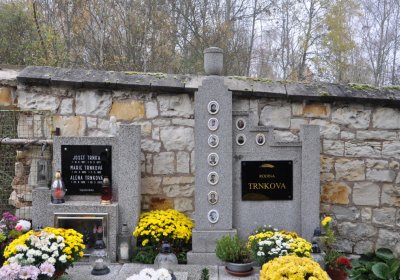 Solopysky, Omnium, 2020