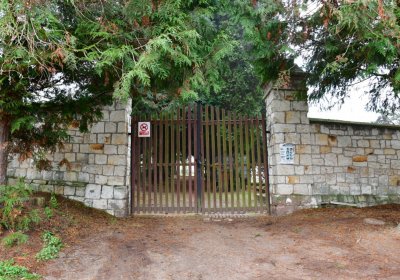 Solopysky, Omnium, 2020