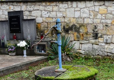 Solopysky, Omnium, 2020