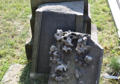 Chožov, Omnium, 2020