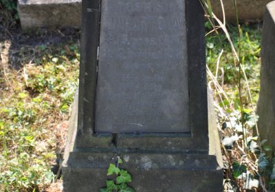 Chožov, Omnium, 2020