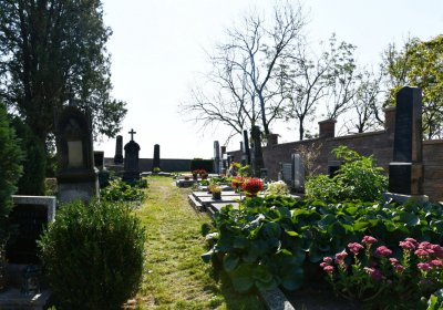 Chožov, Omnium, 2020