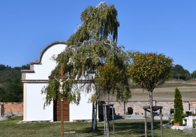 Mnichovský Týnec, Omnium, 2020