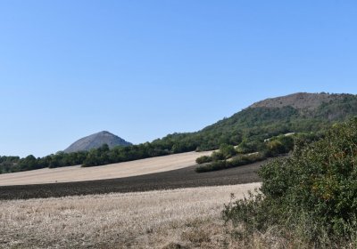 Mnichovský Týnec, Omnium, 2020