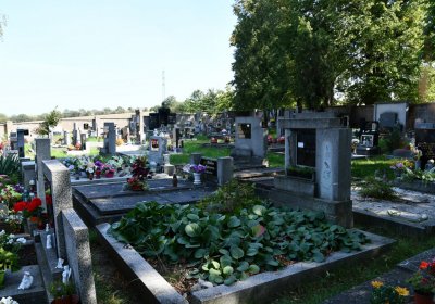 Jimlín, Omnium, 2020