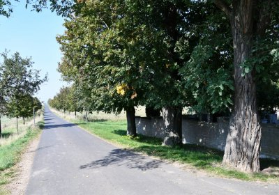 Jimlín, Omnium, 2020