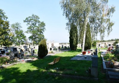 Jimlín, Omnium, 2020