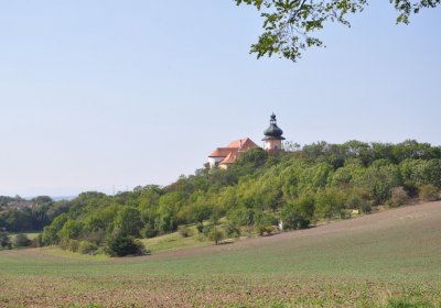 Jimlín, Omnium, 2020