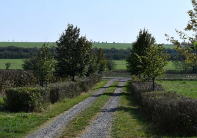 Zeměchy, Omnium, 2020