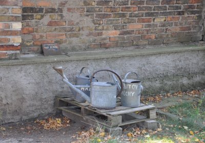 Zeměchy, Omnium, 2020