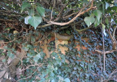 Břežany, Omnium, 2020