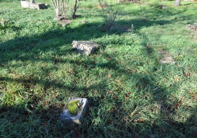 Břežany, Omnium, 2020