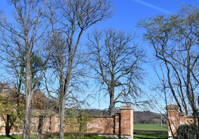 Břežany, Omnium, 2020