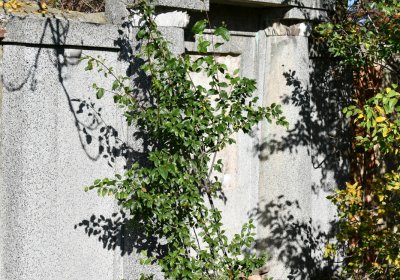 Břežany, Omnium, 2020