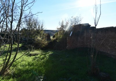 Břežany, Omnium, 2020