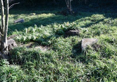 Břežany, Omnium, 2020