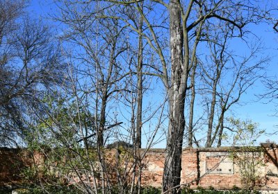 Břežany, Omnium, 2020