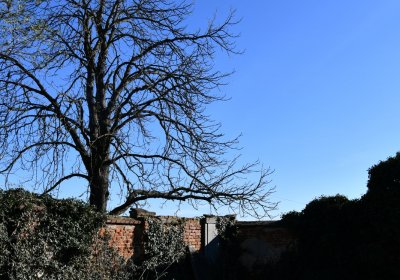 Břežany, Omnium, 2020