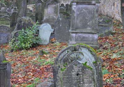 Hřivčice židovský, Omnium, 2020