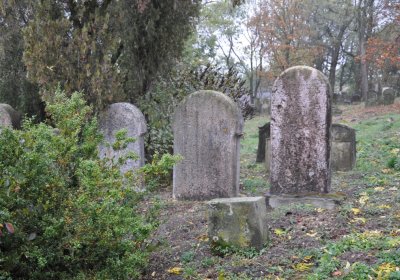 Hřivčice židovský, Omnium, 2020