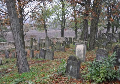 Hřivčice židovský, Omnium, 2020