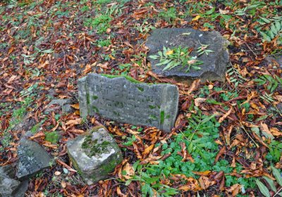 Hřivčice židovský, Omnium, 2020