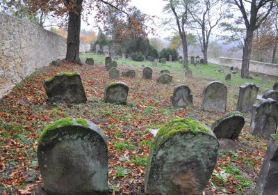 Hřivčice židovský, Omnium, 2020