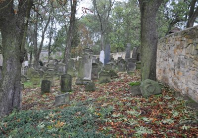 Hřivčice židovský, Omnium, 2020