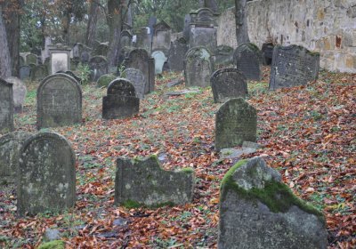 Hřivčice židovský, Omnium, 2020