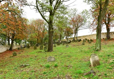 Hřivčice židovský, Omnium, 2020