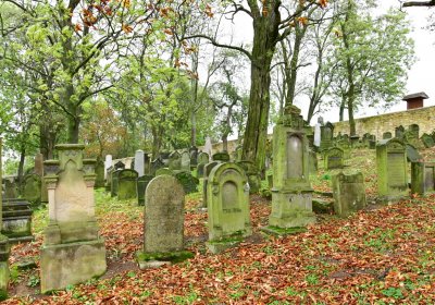 Hřivčice židovský, Omnium, 2020