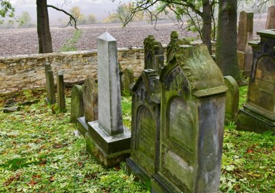 Hřivčice židovský, Omnium, 2020