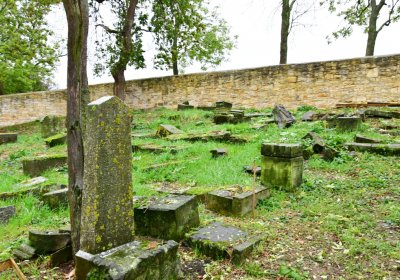 Hřivčice židovský, Omnium, 2020